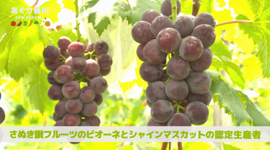 地域農業応援番組 あぐり香川