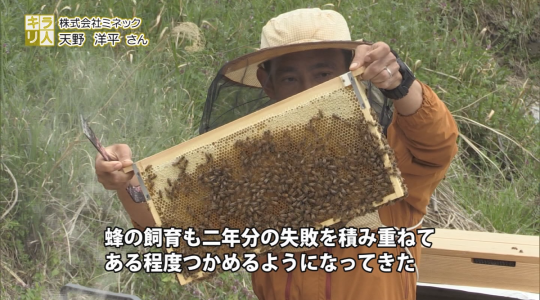 たかまつハッピィ♪デイズ