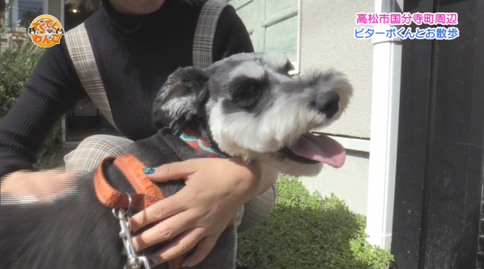 たかまつハッピィ♪デイズ