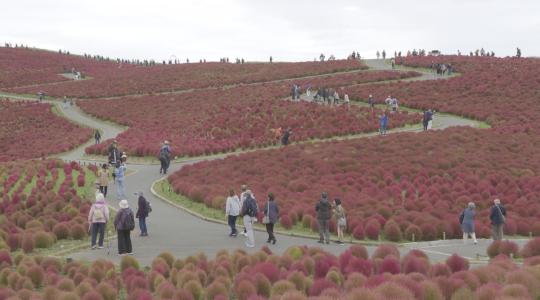 壮観劇場