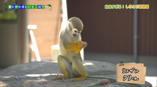 たかまつハッピィ♪デイズ
