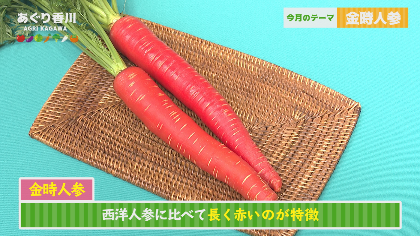 地域農業応援番組 あぐり香川 | あぐり香川 | コミュニティ番組