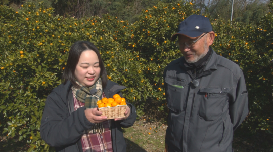 地域農業応援番組 あぐり香川