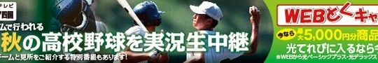 平成28年度秋季四国地区高等学校野球香川県大会　試合結果