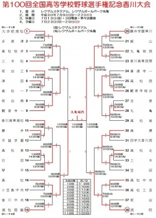 第100回 甲子園 高校野球 うちわ 団扇 全国高等学校野球選手権