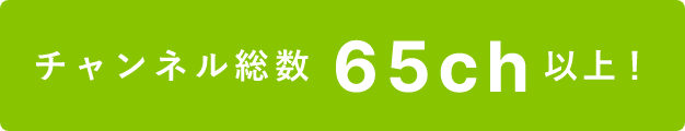 チャンネル総数65ch以上！