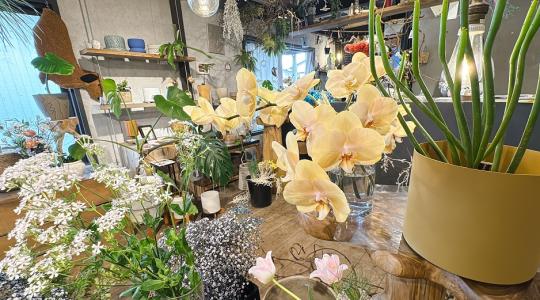 なんがでっきょんな