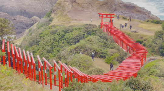 お散歩紀行