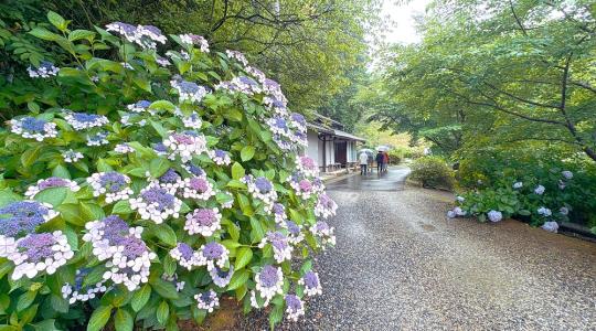 なんがでっきょんな