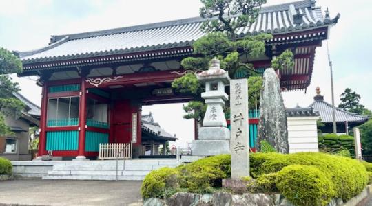 行ってみ四い国