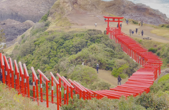 お散歩紀行