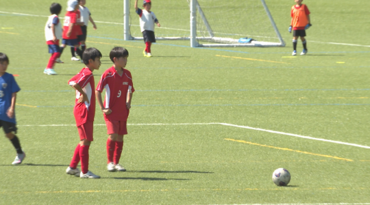 CMS Sports
