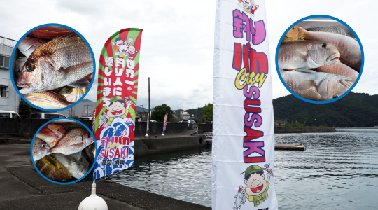 行ってみ四い国