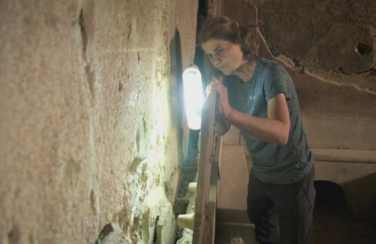 ナショナルジオグラフィック【557ch】