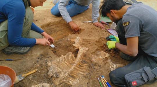 ナショナルジオグラフィック【557ch】