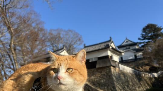 ぐるぐる中四国・関西 