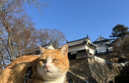 ぐるぐる中四国・関西 