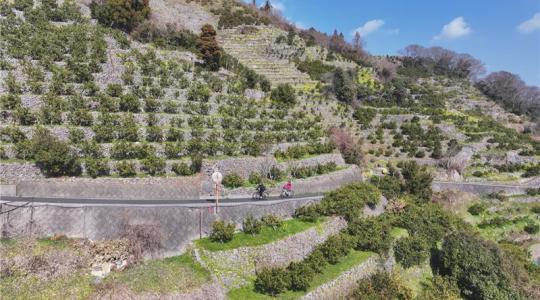 行ってみ四い国