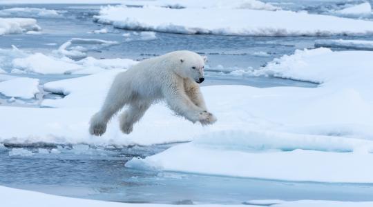 ナショナルジオグラフィック【557ch】