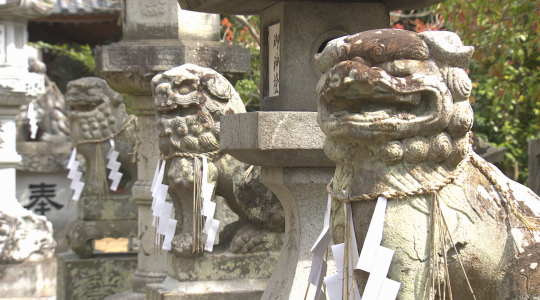 讃岐由来帖