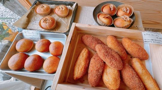 なんがでっきょんな